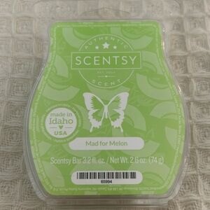 Mad for Melon Scentsy Bar
